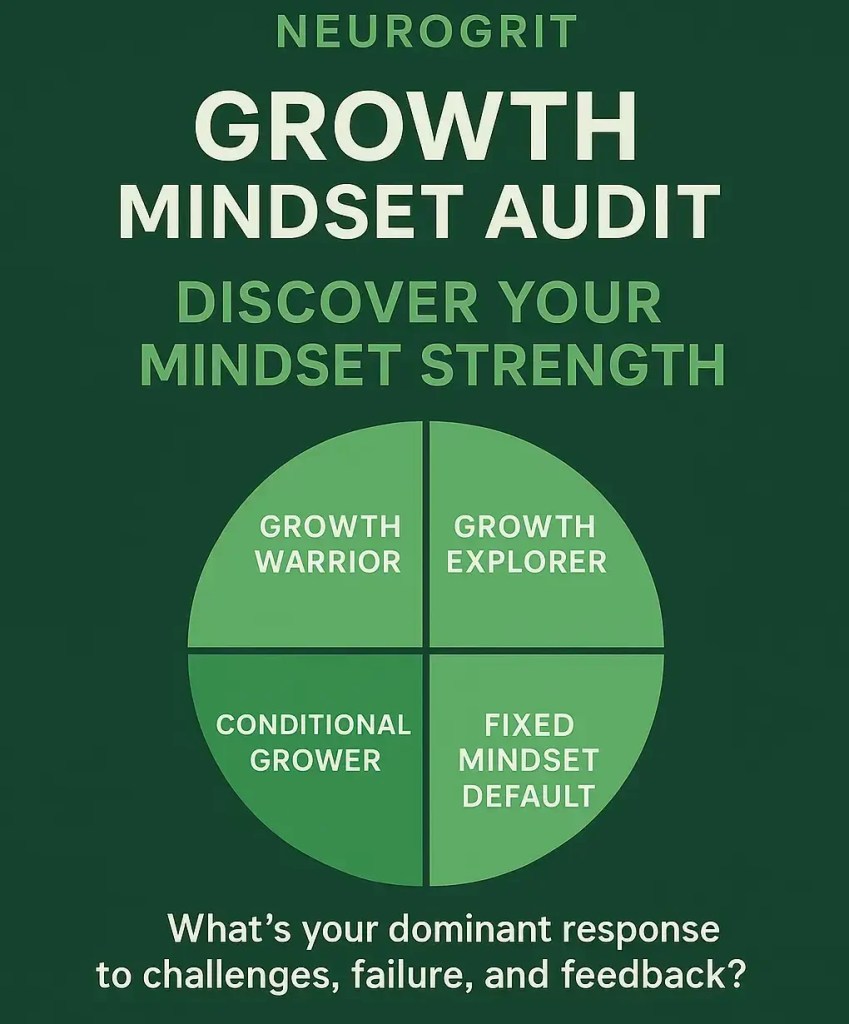 growth mindset audit